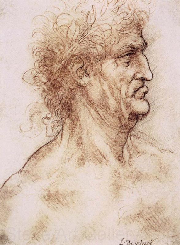 LEONARDO da Vinci Profile one with book leaves gekroten of old man Spain oil painting art